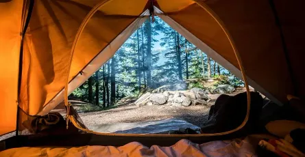 Choosing the Perfect Campsite